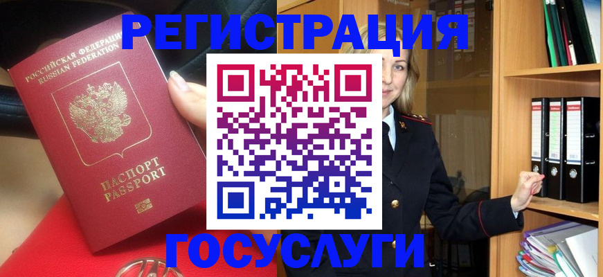 прописка поиск в Невеле